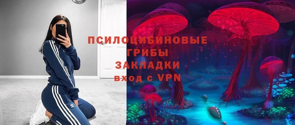 бошки Волоколамск