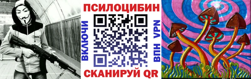 Купить где  Луга  Псилоцибиновые грибы мицелий 